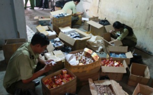 Thực phẩm chức năng rởm ở Việt Nam hầu hết là hàng... Tàu?