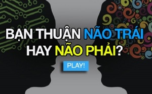 Video: Bạn phát triển não trái hay não phải hơn?