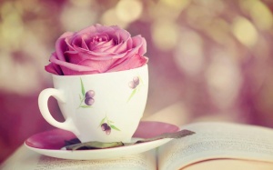 Tử vi 12 cung hoàng đạo Chủ nhật (3/1/2016)