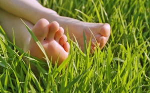 Bệnh đái tháo đường: Bí quyết chăm sóc từ đầu đến chân