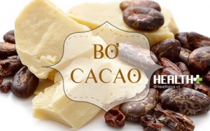 Bạn đã biết TPCN an toàn và mỹ phẩm thiên nhiên từ bơ cacao?