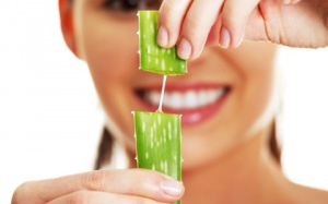 Nha đam vườn nhà giúp đẹp ngoài, mát trong như nào?