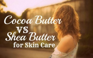 Bơ cacao - bơ hạt mỡ: 'Kẻ' tám lạng, 'người' nửa cân