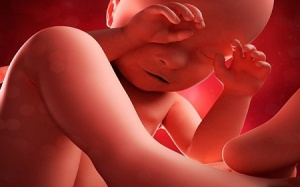 Những biểu hiện bất ngờ của thai nhi trong bụng mẹ