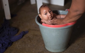 ​Mỹ khuyến cáo thai phụ không đến 14 nước có virus Zika