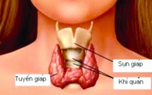 Những thực phẩm ảnh hưởng trực tiếp đến tuyến giáp