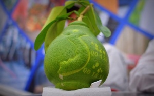 Những loại quả độc, lạ 'làm mưa làm gió' dịp Tết Bính Thân