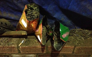 Trà lài ướp hương hóa chất trên đất bẩn