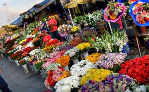 Ngày Tết cắm hoa gì để đem tài lộc vào nhà?