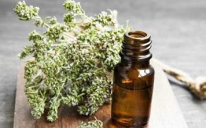 Tinh dầu xạ hương trị ho, chống trầm cảm, ngăn ngừa ung thư