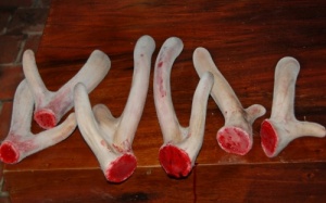 Đàn ông dùng nhung hươu có tăng khả năng tình dục?