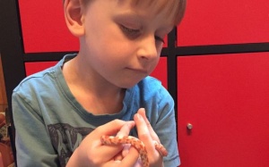 Cậu bé tự kỷ đã thay đổi khi làm bạn với… rắn