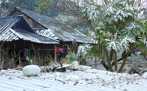 Bắc Bộ 'run rẩy' với cái lạnh thấu xương