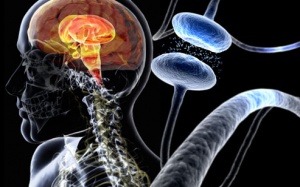 Mắc bệnh Parkinson do thuốc điều trị