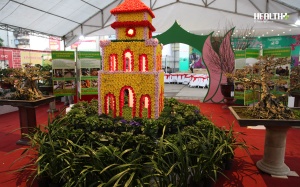 Nhiều cây cảnh 'độc và lạ' xuất hiện tại Hội chợ Xuân Bính Thân