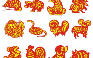 'Soi' sức khỏe 12 con giáp năm Bính Thân 2016