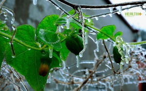 Hơn 20 địa điểm có băng tuyết ở Việt Nam