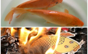 Nên cúng ông Táo bằng cá chép thật hay giấy?