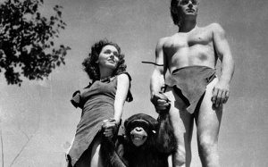 Những phim điện ảnh kinh điển về loài khỉ có thể bạn chưa từng biết