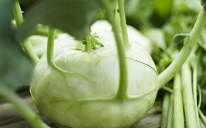 Bổ sung vitamin C mỗi ngày: Chỉ cần ăn su hào!