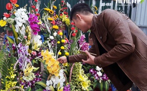 Mách bạn giá cả và địa chỉ mua hoa rẻ ngày 8/3