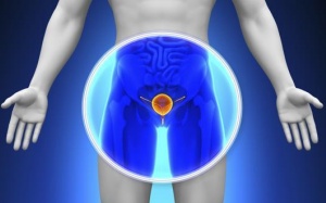 Dấu hiệu phì đại tuyến tiền liệt cánh mày râu nên biết