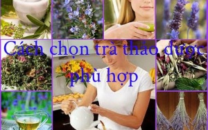 Trà thảo dược: Bệnh nào trà đó!