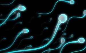 Tinh trùng bơi chậm có con tự nhiên được hay không?