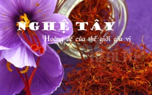 Giải mã cơn sốt nghệ tây - gia vị quý tộc của giới siêu giàu