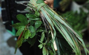 Dùng lá xông đúng cách để giải cảm hiệu quả