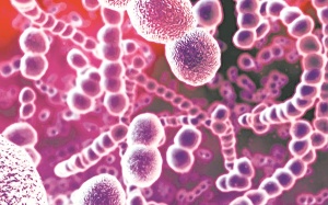 Cảnh giác viêm phổi do phế cầu khuẩn ở trẻ