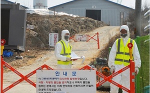 Đọc ngay nếu bạn sắp đi Hàn Quốc