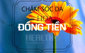 Hoa đồng tiền - chăm sóc da hoàn hảo cho mẹ và bé