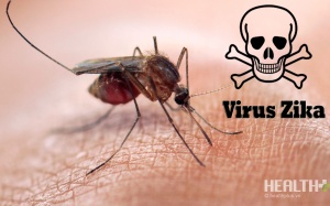 Bộ Y tế lập 8 đoàn 'soi' công tác phòng chống dịch bệnh do virus Zika