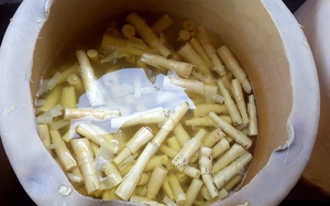 Măng nhuộm chất màu sơn tường ở Đà Nẵng: Dân mua hết rồi