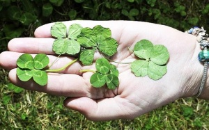 Tiết lộ 3 con giáp được thần May mắn đồng hành suốt tháng 4