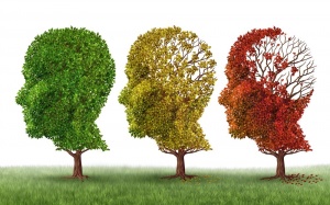 Bí quyết giúp phòng ngừa sa sút trí tuệ và bệnh Alzheimer