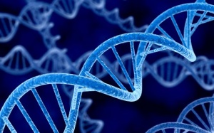 Nghiện hút cần sa? Hãy trách DNA của bạn!