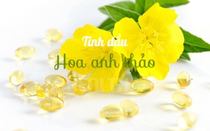Mọi phụ nữ đều cần tinh dầu hoa anh thảo