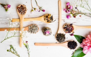 25 loại thảo dược giúp da luôn tươi trẻ mịn màng ở khắp nơi trên thế giới