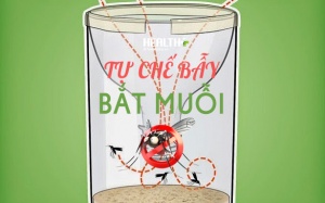 Tự chế bẫy quét sạch muỗi mang mầm virus Zika