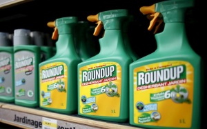 Cấm thuốc diệt cỏ có glyphosate vì lo ngại nguy cơ ung thư