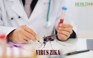 Không nên tự đi xét nghiệm xác định virus Zika