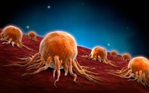 Có 'sát thủ' còn kinh hoàng hơn cả ung thư 