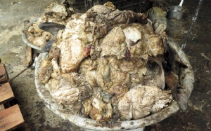 Ập vào xưởng phát hiện trên 4 tấn mỡ bẩn, hôi thối