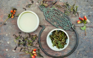 Uy quyền của loại trà đắt nhất thế giới