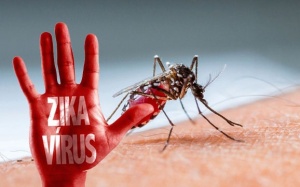 Mỹ khẳng định virus Zika gây ra chứng đầu nhỏ