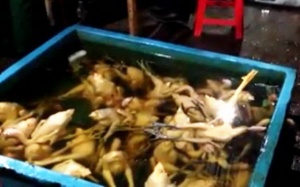 Phát hiện chất cấm trong thực phẩm sẽ xử phạt hình sự