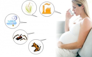 Những nguy hại khi phụ nữ bị hen suyễn mang thai