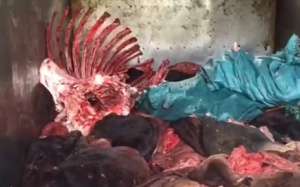 Hà Nội lại phát hiện hàng loạt vụ vận chuyển thực phẩm bẩn 